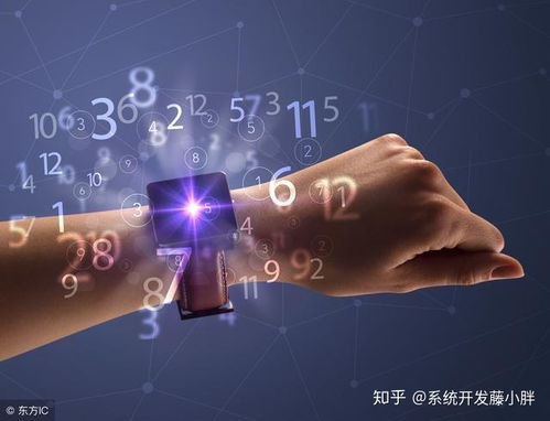 区块链技术赋能 农产品溯源系统的开发与搭建